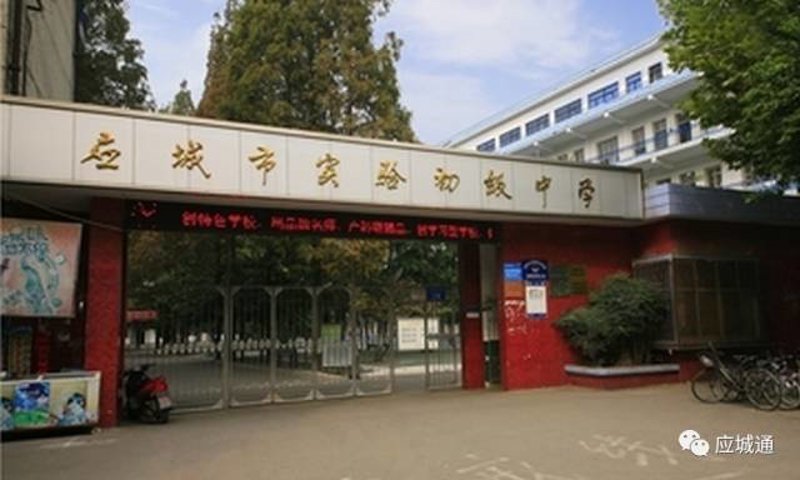 合肥初中教育动态：探索教育创新的路径